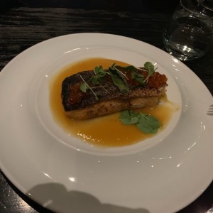 salmon unilateral
