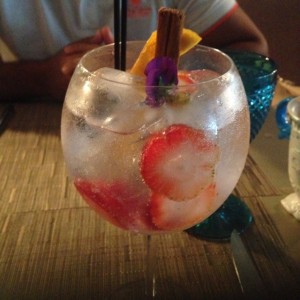 Gin con frutos rojos