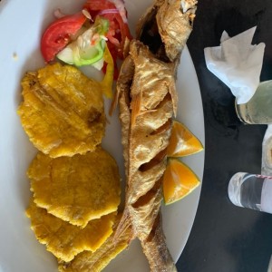 corvina frita
