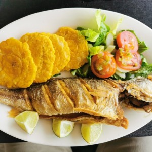 Corvina frita