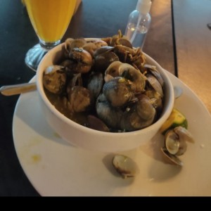 Almejas