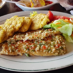 Filete de corvina al ajillo