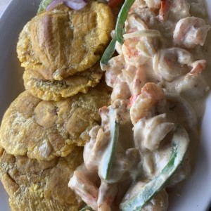 Camarones en salsa blanca