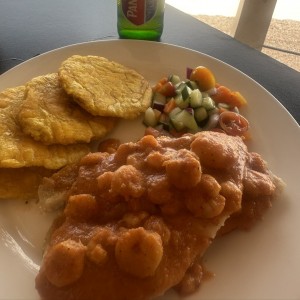 FILETE DE PESCADO RELLENO DE CAMARONES EN SALSA CRIOLLA