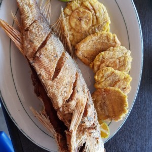 Pescado frito entero