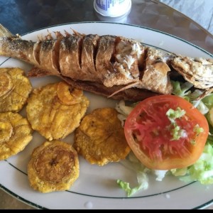 Corvina Frita con Patacones