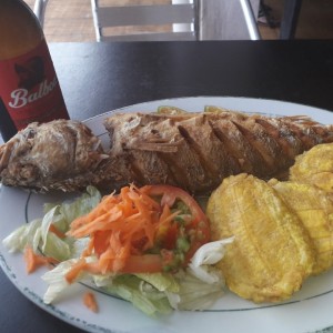 corvina frita