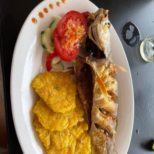 Corvina