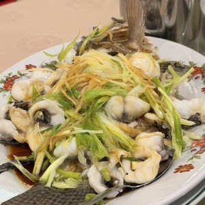 Tilapia