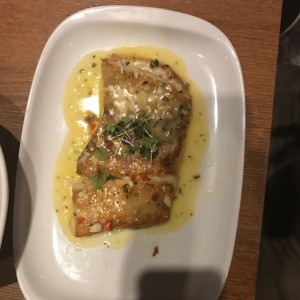 corvina 
