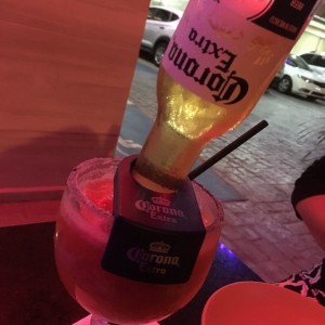 corona bulldog