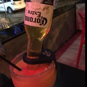 bulldog maracuya