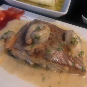 salmon