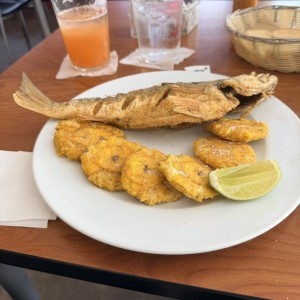 Corvina entera 