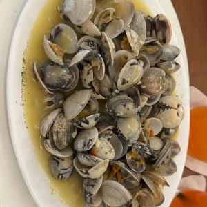Almejas al ajillo o en Salsa roja