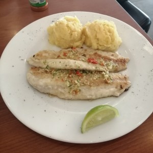 Corvina a la Plancha o Al ajillo