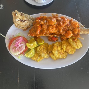 Corvina a lo macho en salsa roja