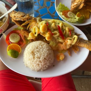corvina veramar