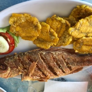 pargo frito