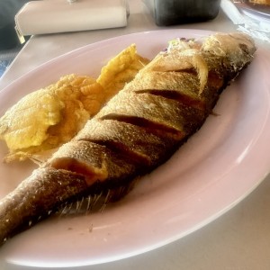 Mariscos - Corvina Frita (Entera)