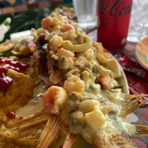 Corvina a la veramar