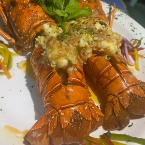 Langosta