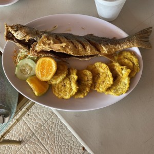 Corvina entera frita