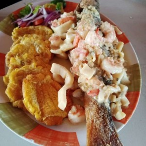 corvina a la veramar