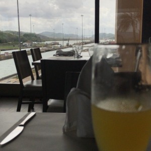 Mimosa