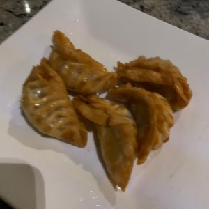 empanadas chinas