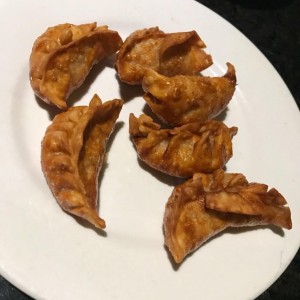 empanadas chinas