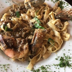 fetuccini stefano