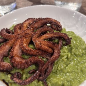 Risotto al Pesto con Pulpo