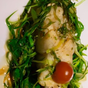 corvina 