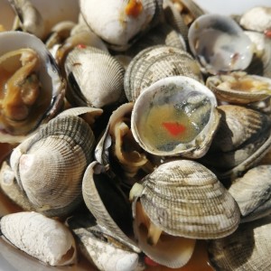 Almejas