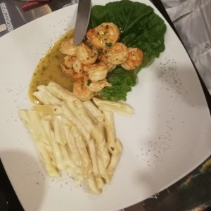 Camarones al ajillo con Penne en Salsa blanca.