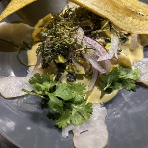 Ceviche de cobia 