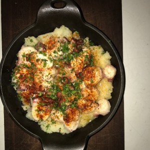 pulpo