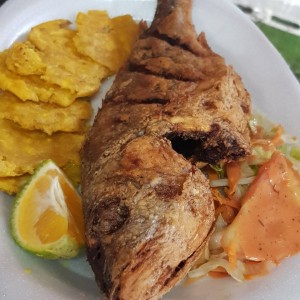 pargocon patacones