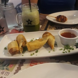 Rollitos de primavera de Pollo