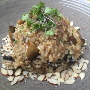 rissotto