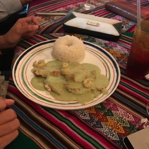 corvina