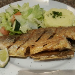 Pargo entero