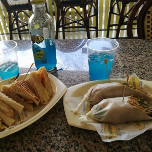 veggie wrap y panini