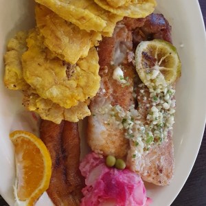Filete de corvina al ajillo