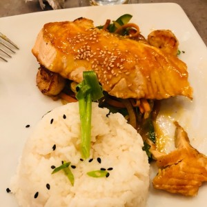 Salmon