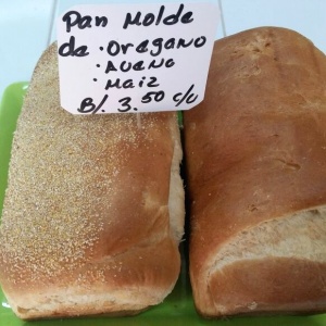 Pan molde 