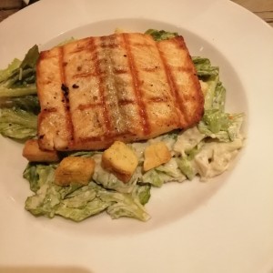 Salmon