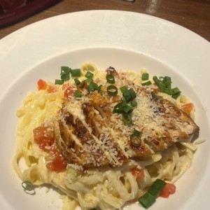 FETTUCCINE ALFREDO WITH CHICKEN