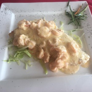 corvina